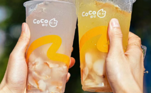 多少钱可以加盟CoCo奶茶？2023年的CoCo奶茶加盟费用明细和条件要求已经公开！
